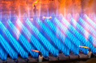 Saltmarsh gas fired boilers